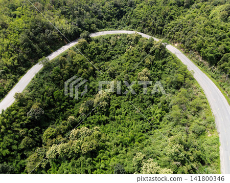 Aerial view forest nature with car on the road on the mountain green tree top view road curve 141800346