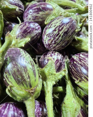 fresh purple eggplant on a white background fresh purple eggplant on a white background 141800402