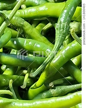 green peppers on a plate green peppers on a plate 141800403