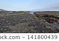北海道島卷村，大平川入海口與日本海交會處 141800439