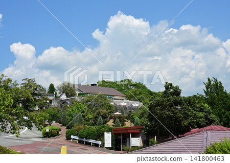 盛夏時節,山梨縣甲斐市的富之丘酒莊 盛夏時節,山梨縣甲斐市的富之丘酒莊 141800463