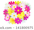 Colorful cosmos flowers 141800975