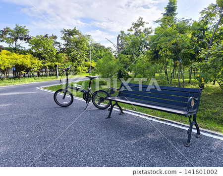 Bicycle and Bench in a Sunny Park Bicycle and Bench in a Sunny Park 141801002