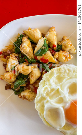Rice topped with stir-fried squid and basil and fried egg Rice topped with stir-fried squid and basil and fried egg 141801761