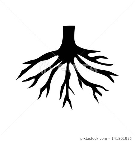 root illustration black tree root illustration black tree 141801955