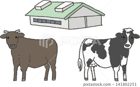 一組棕色肉牛、乳牛（荷蘭）和牛棚的插圖（牲畜，手繪風格，彩色）。 141802251
