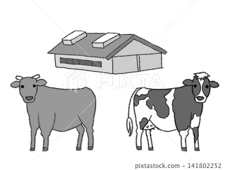 A set of illustrations of beef cattle, dairy cows (Holstein), and cowsheds (hand-drawn style, monochrome, black and white, JPG). A set of illustrations of beef cattle, dairy cows (Holstein), and cowsheds (hand-drawn style, monochrome, black and white, JPG). 141802252