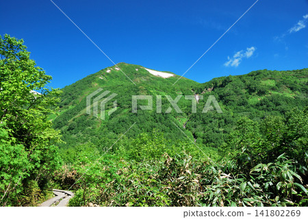 [Mountain scenery] Tsugaike Nature Park, Nagano Prefecture 141802269