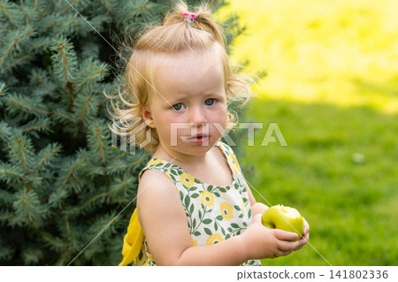 Curious Toddler Girl Holding Apple Near Evergreen Tree Curious Toddler Girl Holding Apple Near Evergreen Tree 141802336