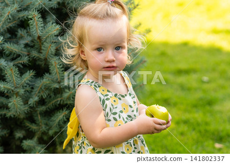 Blonde Toddler Girl Holding Bitten Apple Outdoors Blonde Toddler Girl Holding Bitten Apple Outdoors 141802337