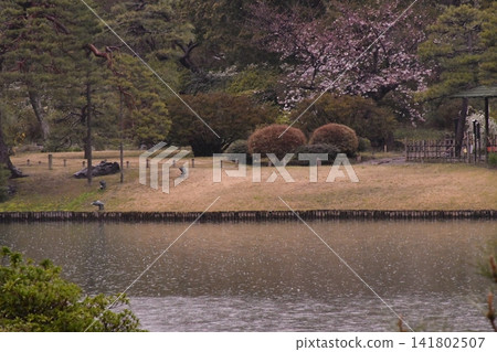 六義園 六義園 141802507