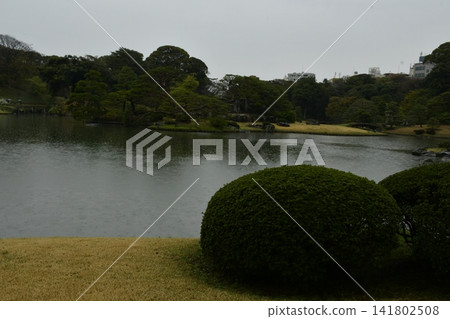 六義園 六義園 141802508