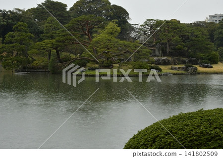 六義園 六義園 141802509