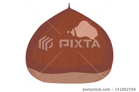 Illustration of one chestnut Illustration of one chestnut 141802594
