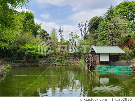 Nabeshima Shoto Park, Shibuya Ward Nabeshima Shoto Park, Shibuya Ward 141802950