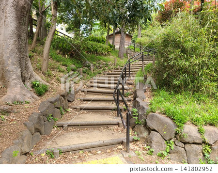 Nabeshima Shoto Park, Shibuya Ward Nabeshima Shoto Park, Shibuya Ward 141802952