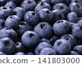 A screen filled with fresh blueberries A screen filled with fresh blueberries 141803000