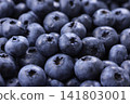 A screen filled with fresh blueberries A screen filled with fresh blueberries 141803001