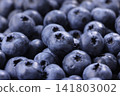 A screen filled with fresh blueberries A screen filled with fresh blueberries 141803002