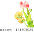 Colorful tulip illustration in watercolor style 141803085