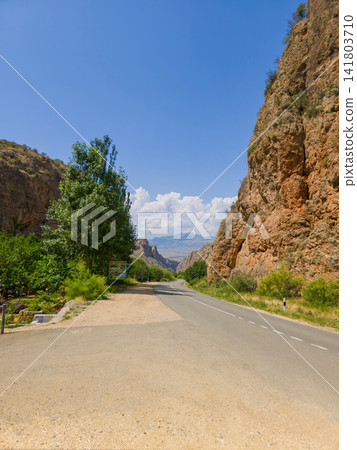 Desert canyon road with tall trees on left, rocky cliffs on right, bright sky 141803710