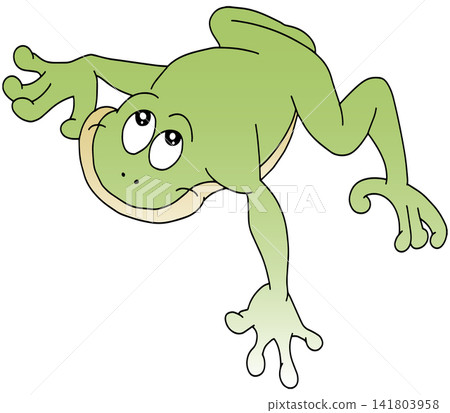 Hand-drawn animal illustration ☆ Frog Hand-drawn animal illustration ☆ Frog 141803958