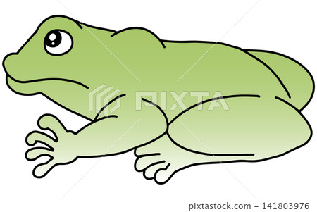 Hand-drawn animal illustration ☆ Frog 141803976