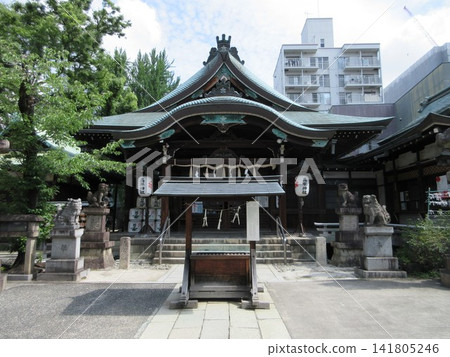 高武神社的參拜殿與守護獅犬!愛知縣名古屋市 高武神社的參拜殿與守護獅犬!愛知縣名古屋市 141805246