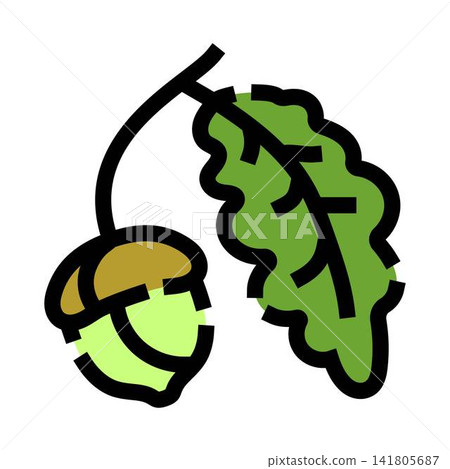 Oak acorn and leaf growing on branch Oak acorn and leaf growing on branch 141805687