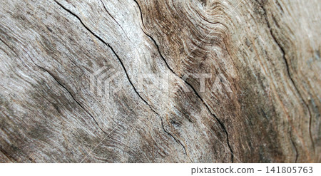 Weathered driftwood texture with swirling natural wood grain patterns. Weathered driftwood texture with swirling natural wood grain patterns. 141805763