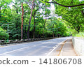 [Hokkaido] Sapporo in early autumn: The lush Maruyama primeval forest 141806708
