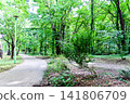 [Hokkaido] Early autumn in Sapporo: Walking trails in Maruyama Primeval Forest 141806709