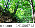 [Hokkaido] Early Autumn in Sapporo: Nature Trail in Maruyama Primeval Forest 141806718
