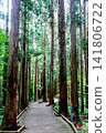 [Hokkaido] Sapporo in early autumn: The lush Maruyama primeval forest 141806722