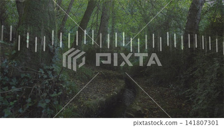 Flowing narrow winding stream cutting leaf-strewn channel through dim ravine with light-bar band Flowing narrow winding stream cutting leaf-strewn channel through dim ravine with light-bar band 141807301