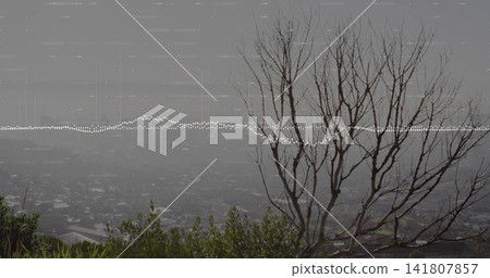 Standing leafless tree right of hilltop, showing rooftops, dotted waveform, copy space Standing leafless tree right of hilltop, showing rooftops, dotted waveform, copy space 141807857