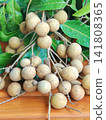 Fresh Longan Fruit on Branch with Green Leaves from a Home Garden in Thailand 141808365