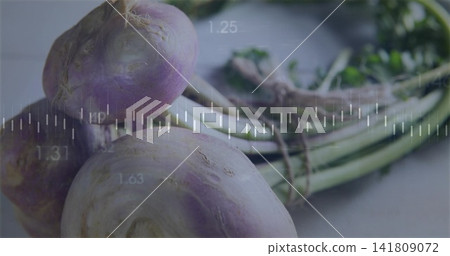 Showing three turnip bulbs resting on light table, with bundled stems, twine, waveform overlay Showing three turnip bulbs resting on light table, with bundled stems, twine, waveform overlay 141809072