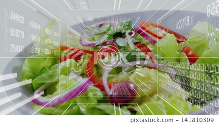 Displaying assorted salad on white ceramic plate at tabletop, featuring translucent HUD elements Displaying assorted salad on white ceramic plate at tabletop, featuring translucent HUD elements 141810309