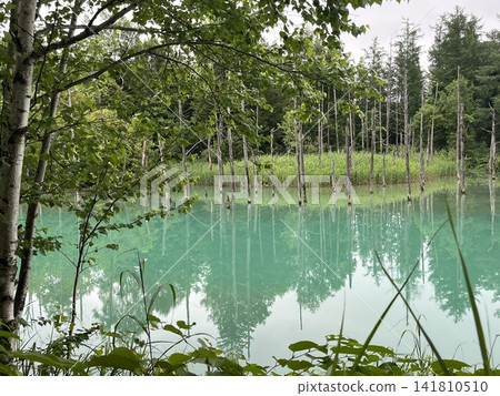 “青池（北海道）的景色” 141810510