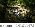 Mountain stream 141811478
