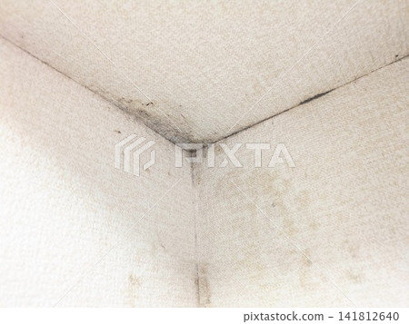 Black mold growing in the corner of the room 141812640