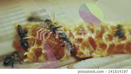 Crawling worker bees feeding on honeycomb at wooden board, showing pie chart and 71% 68% overlays Crawling worker bees feeding on honeycomb at wooden board, showing pie chart and 71% 68% overlays 141814197