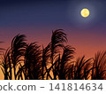A sunset with pampas grass and the moon visible. 141814634