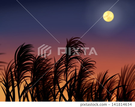 夕陽西下,蘆葦叢中透出光亮,月亮也清晰可見。 夕陽西下,蘆葦叢中透出光亮,月亮也清晰可見。 141814634