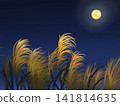 Pampas grass illuminated by the full moon 141814635