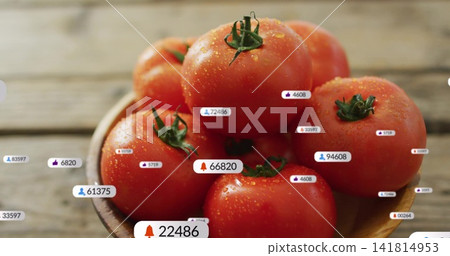 Showing ripe red tomato cluster with stems and dew on wood plank table featuring social badges Showing ripe red tomato cluster with stems and dew on wood plank table featuring social badges 141814953