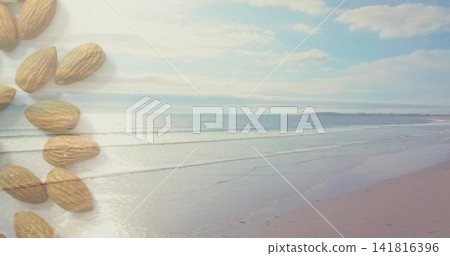 Reflecting wet sand and shallow waves on coastal seascape at low tide, featuring shelled almonds 141816396