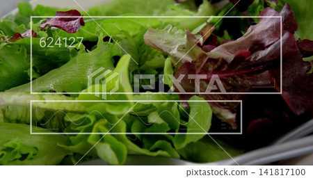 Showing overhead green-red lettuce at counter, with white bowl, droplets, HUD 624127 waveform ticks 141817100