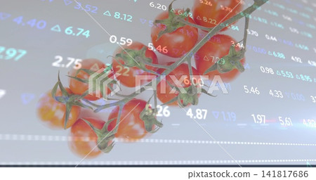 Showing tomato-vine gleaming in studio with calyxes and sheen, showing numbers and grid lines Showing tomato-vine gleaming in studio with calyxes and sheen, showing numbers and grid lines 141817686